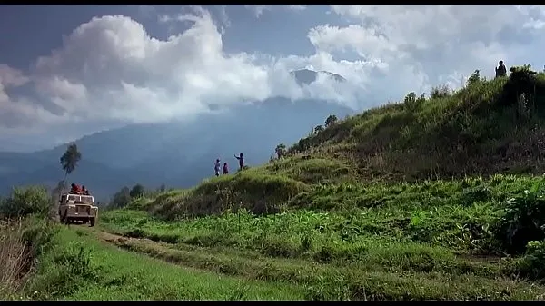 ホットな ゴリラ山脈で（1988 温かい映画